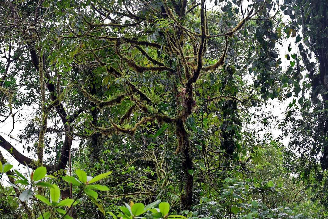 Canal de Panamá VIP